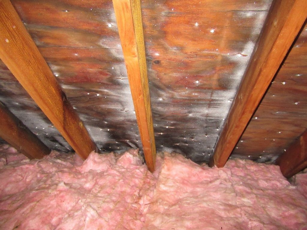 Moisture in attic